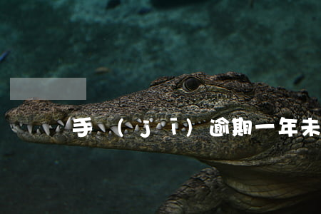 手機(jī)逾期一年未還款(貸款逾期未還)