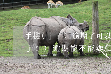 手機(jī)逾期了可以辦信用卡嗎(手機(jī)逾期能不能辦信用卡)