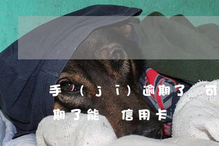 手機(jī)逾期了還可不可以辦信用卡(逾期了能辦信用卡嗎)