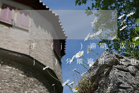 手機(jī)逾期兩次可以在分期嗎 手機(jī)分期逾期還能再分期嗎