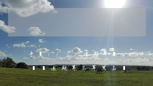 手機(jī)逾期算網(wǎng)貸黑名單嗎(逾期算不算黑名單)