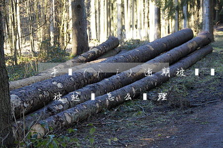 手機(jī)逾期被訴訟(手機(jī)逾期被起訴怎么處理)