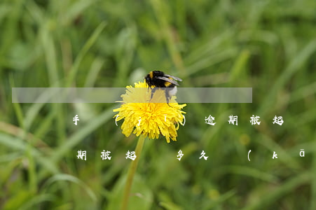 手機(jī)逾期被起訴開(kāi)庭(逾期被起訴多久開(kāi)庭)