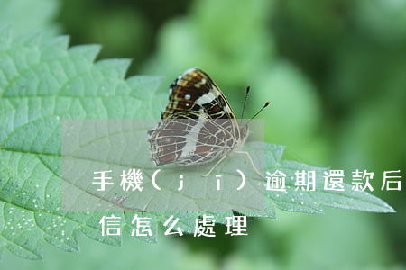 手機(jī)逾期還款后征信(還款逾期后征信怎么處理)