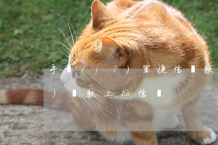 手機(jī)里捷信貸款嗎(捷信手機(jī)貸款上征信嗎)