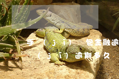 手機(jī)錢包金融逾期一年會被起訴(手機(jī)逾期多久會被起訴)