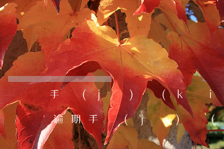 手機(jī)開(kāi)了騷擾攔截造成逾期(手機(jī)開(kāi)了騷擾攔截造成逾期怎么辦)