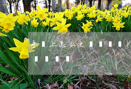 手機上怎么交訴訟費(網(wǎng)上能交訴訟費嗎)