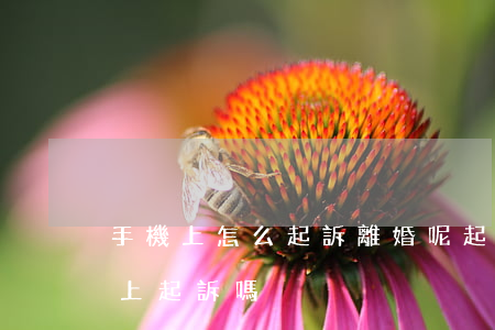 手機上怎么起訴離婚呢(起訴離婚可以在手機上起訴嗎)