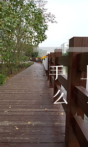 手機上貸款逾期怎么辦(以前按揭手機逾期怎么處理)