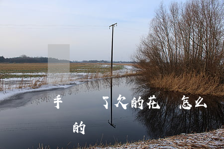 手機丟了欠的花唄怎么還(手機丟了如何還花唄的錢)