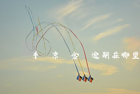 手機京東金條逾期在哪里看