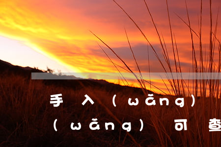 手機入網(wǎng)許可證查詢，手機入網(wǎng)許可證查詢網(wǎng)站