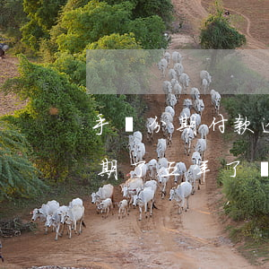 手機分期付款逾期半年了被起訴 分期手機逾期了五年了現(xiàn)在說要告我
