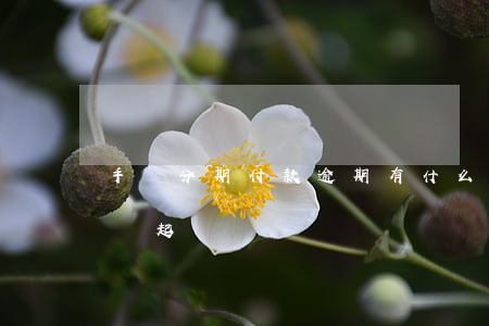手機分期付款逾期有什么后果（手機分期逾期會起訴嗎）