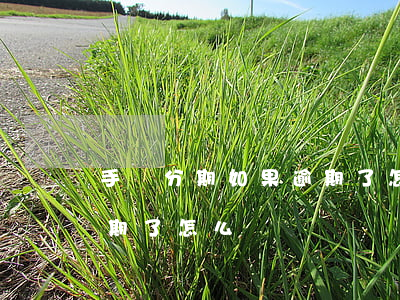 手機分期如果逾期了怎么辦(手機分期貸款逾期了怎么辦)