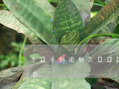 手機分期逾期怎樣還款(手機分期逾期怎樣還款)