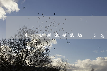 手機分期逾期被起訴了怎么辦（手機分期逾期起訴咋辦）