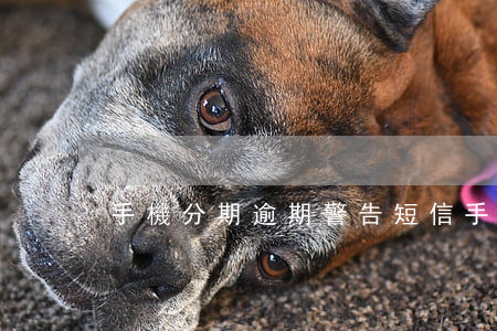 手機分期逾期警告短信（手機分期逾期警告）