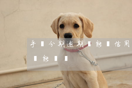 手機分期逾期過能辦信用卡嗎(手機分期逾期還能辦嗎)