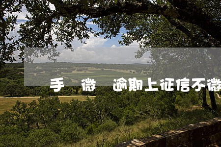 手機微貸逾期上征信不(微粒貸逾期上征信不)