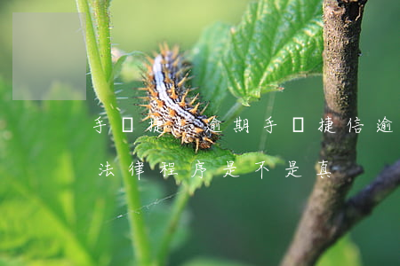 手機捷信逾期(手機捷信逾期三年打電話說走法律程序是不是真)