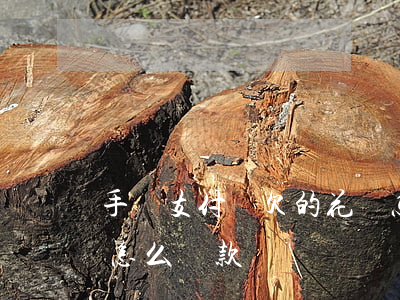 手機支付寶欠的花唄怎么還(手機支付寶花唄怎么還款)