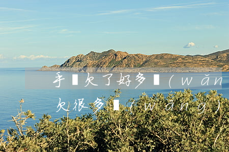 手機欠了好多網(wǎng)貸怎么辦(如果欠很多網(wǎng)貸怎么辦)