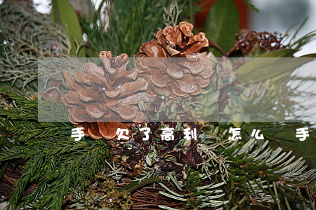 手機欠了高利貸怎么辦(手機高利貸款犯法嗎)