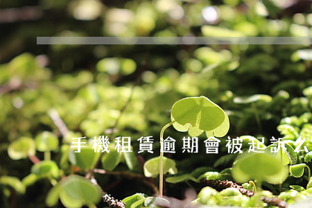 手機租賃逾期會被起訴么(租手機會被起訴嗎)