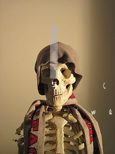 手機網(wǎng)貸不還后果的圖片(手機網(wǎng)上貸款不還最終有什么后果)