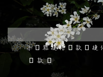 手機能捷信貸款嗎(捷信能自己在手機上申請貸款嗎)