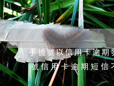 手機號以信用卡逾期發(fā)短信通(手機號信用卡逾期短信不是自己的)