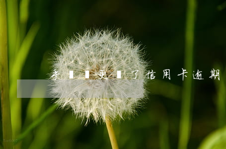 手機號更換了信用卡逾期
