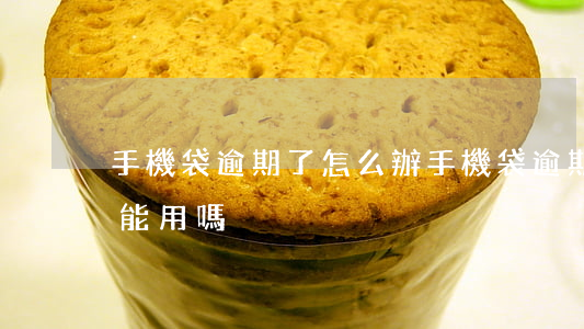 手機袋逾期了怎么辦(手機袋逾期了怎么辦還能用嗎)
