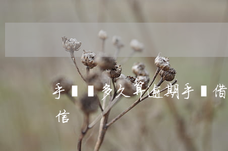 手機貸多久算逾期(手機借款逾期多久會上征信)