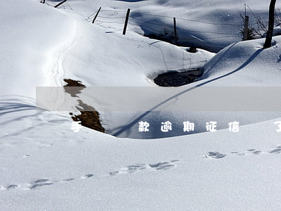 手機貸款逾期征信壞了(手機逾期會影響征信嗎)