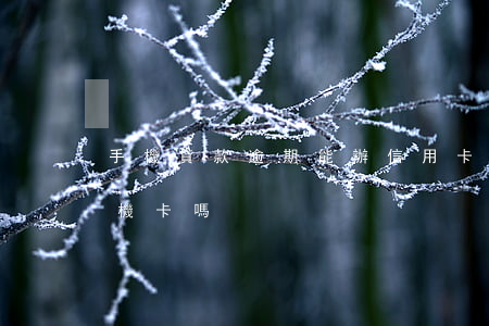 手機貸款逾期能辦信用卡么(貸款逾期能辦手機卡嗎)