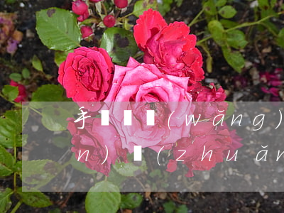 手機貸網(wǎng)貸逾期債權(quán)轉(zhuǎn)讓(網(wǎng)貸逾期轉(zhuǎn)讓了我的債權(quán))