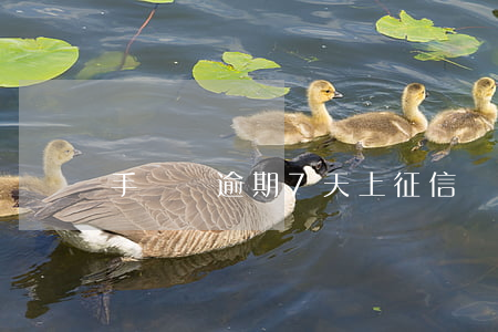 手機貸逾期7天上征信嗎(逾期七天上征信嗎)