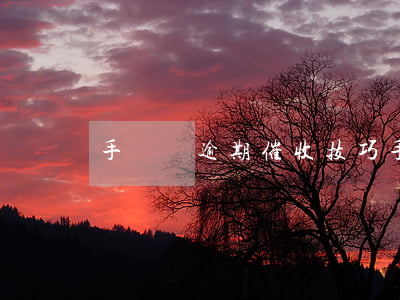 手機貸逾期催收技巧(手機貸最近催款)