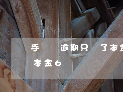 手機貸逾期只還了本金6(手機貸逾期只還了本金6)