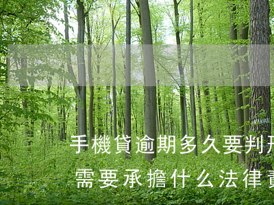 手機貸逾期多久要判刑6(手機貸款逾期不還需要承擔什么法律責任)