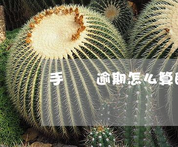 手機貸逾期怎么算的(貸款怎樣算逾期)