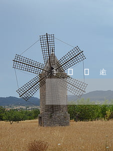 手機貸逾期未還立案傳票(手機借款逾期)