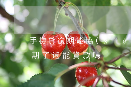 手機貸逾期能協(xié)商還款嗎(手機逾期了還能貸款嗎)