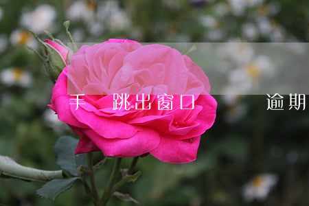 手機跳出窗口說閃貸逾期