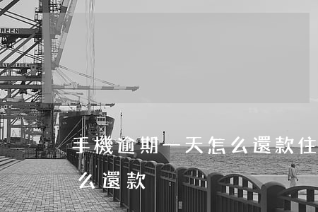 手機逾期一天怎么還款(住房貸款逾期一天怎么還款)