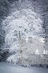 手機逾期詐騙發(fā)來微信(微信詐騙新聞最新)