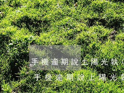 手機逾期說上陽光執(zhí)法是真的嗎(手機逾期說上陽光執(zhí)法是真的嗎)